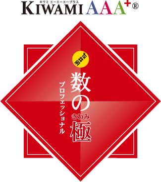 玉井式 数の極 プロフェッショナル
