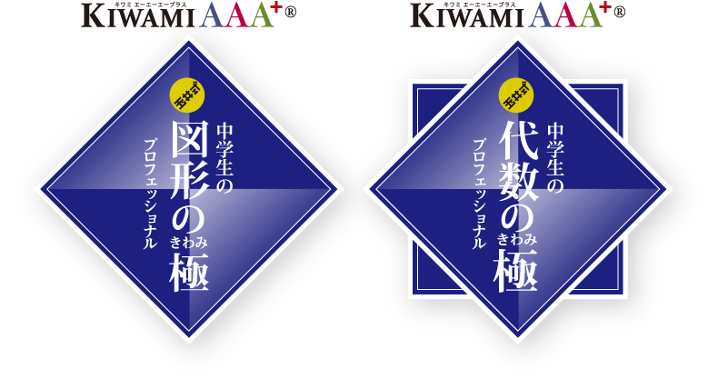 玉井式 数の極 プロフェッショナル